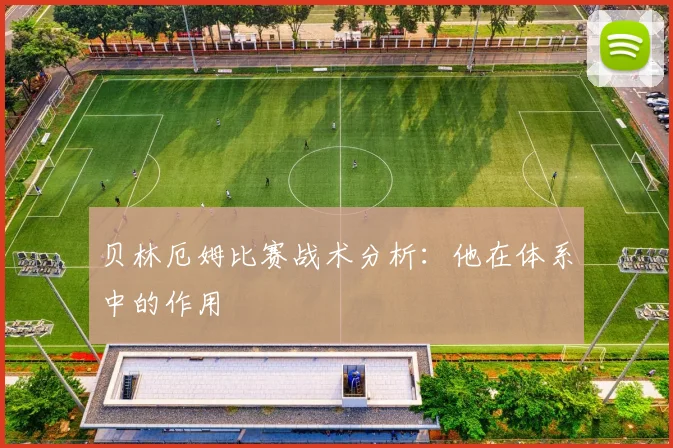 贝林厄姆比赛战术分析:他在体系中的作用