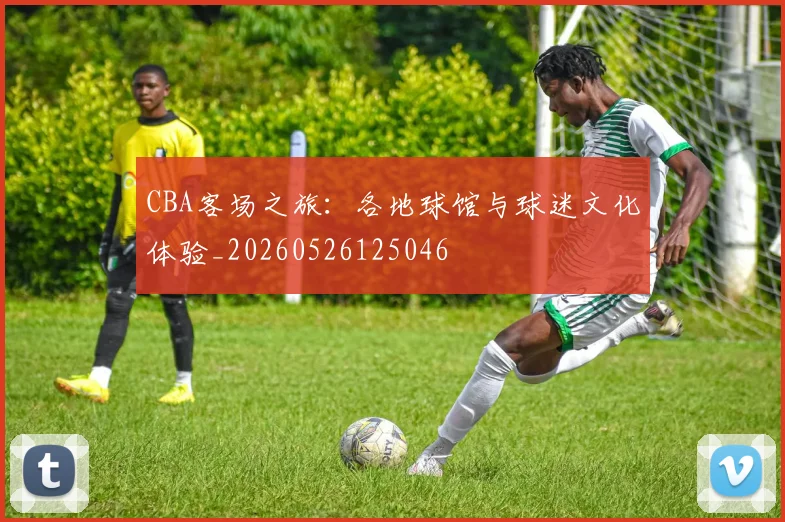 CBA客场之旅:各地球馆与球迷文化体验_20260526125046